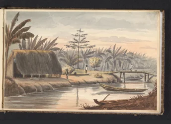Plantação de cuidados do pescador com campo de banana Banana Ground Fisheries Care (título no objeto) Álbum com desenhos do Suriname, p.9 (50) (título da série)