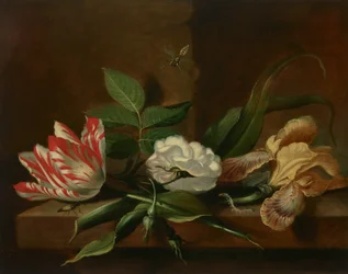 Uma tulipa de papagaio, uma rosa, uma íris e insectos sobre uma mesa de madeira