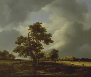 Paisagem