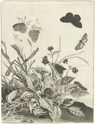 Plantas com borboletas e lagartas