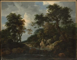 O ribeiro da floresta