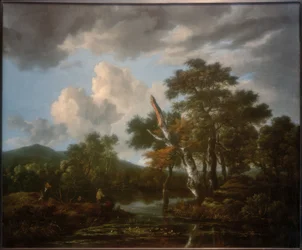 Paisagem florestal com um lago