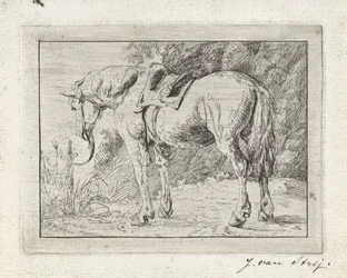 Cavalo selado amarrado a um poste