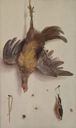 Uma galinha e um kingfisher pendurado em uma corda