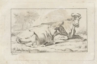 Duas vacas reclináveis