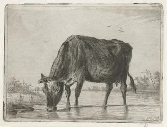 Bebida de vaca