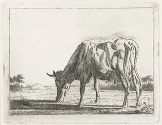 vaca pastando