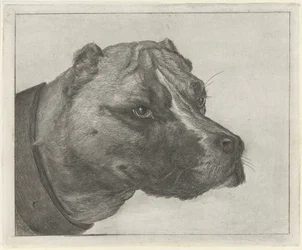 Cabeça de cachorro com coleira