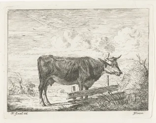 Vaca em pé perto de uma cerca