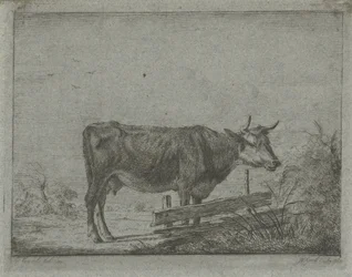 Vaca em pé perto de uma cerca