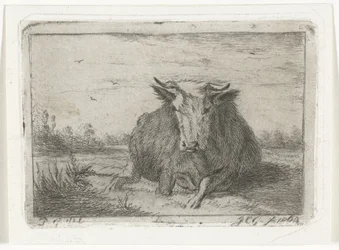 Vaca reclinada vista de frente