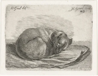 Cão adormecido, deitado sobre um cobertor