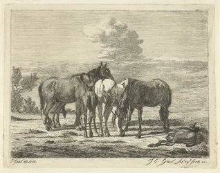 Quatro cavalos e dois potros