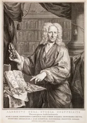 Retrato de Albertus Seba, segundo Jan Maurits Quinkhard