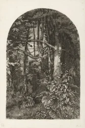 Floresta com riacho
