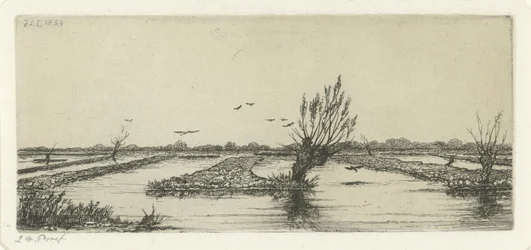 Lagoa de turfa