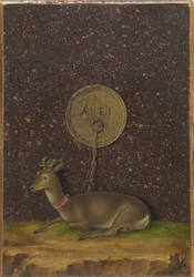 Retrato de Alvise Contarini(); (verso) Um Roebuck amarrado
