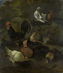 Um galo, galinhas, pombas e uma marmota