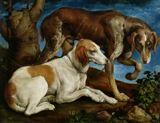Dois cães de caça amarrados a um toco de árvore, c.1548-50