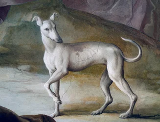 Cão, detalhe do fresco de Jacopo Guarana (1720-1808), hall central de Villa Contarini, Valnogaredo, Veneto, Itália