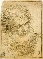 Cabeça de Velho Barbudo (reto); Esboço Decorativo de Flores e Folhas (verso)