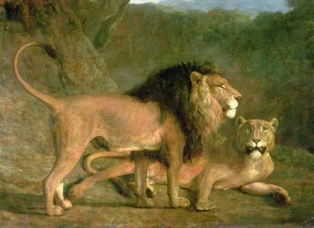 Um Leão e uma Leoa num Vale Rochoso (óleo sobre tela)