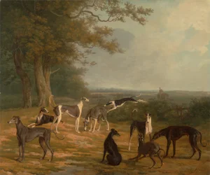 Nove Galgos numa Paisagem