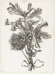 Bouquet com tulipas desbotadas, uma anêmona e immortelles Diverse Fleurs mises en Boucquets (título da série)