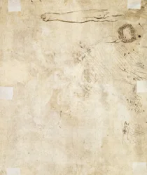Estudo de uma perna, florescer e rabiscos, 1610-17