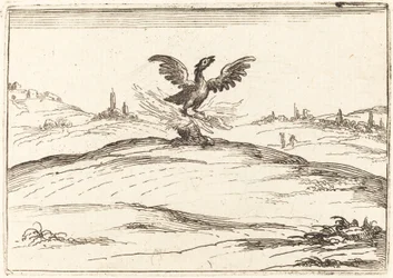 Fênix Ardente