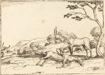 paisagem
