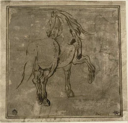 Cavalo, visto a três quartos da retaguarda