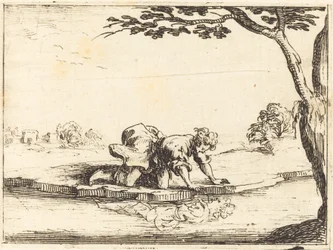 Narciso olhando na água