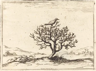Rouxinol em um arbusto, 1628.