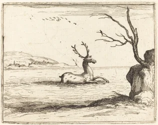 Veado na Água, 1628.