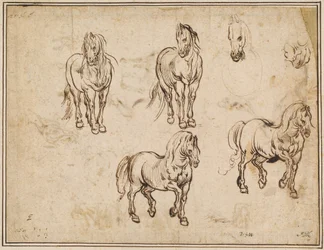 Estudos de Cavalos [reto]
