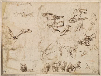 Estudos de Cavalos [verso]