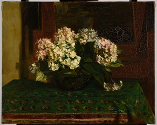 Hortênsias (clima quente)