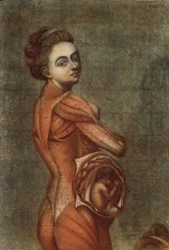 Ilustração anatômica na cor de uma mulher grávida, 1778