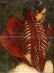 O anjo esfolado, cerca de 1745
