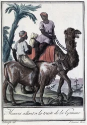 Mouros a caminho do comércio da goma - na «Enciclopédia das Viagens» de Grasset St Sauveur, ed. 1796