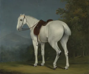 A Lady&39;s Grey Hunter, c.1806 (óleo sobre tela)