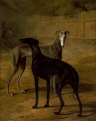 Rolla e Portia