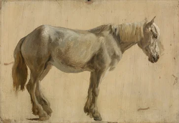 Estudo de um cavalo cinzento (óleo sobre papel)