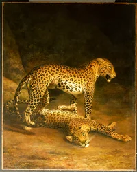 Dois leopardos deitados no Exeter Exchange, 1808