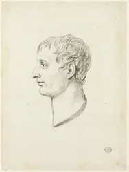 Perfil de Napoleão