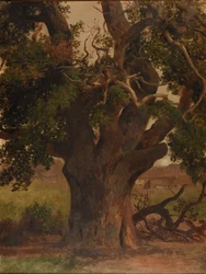 Le Vieux chêne (estudo)