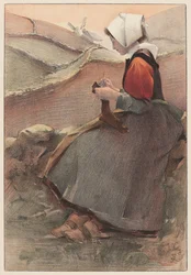 Flor da charneca, 1897.