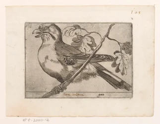 Gaai
Gaio (título sobre o objecto)
Vogels (título da série)