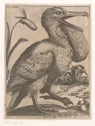 pássaro aquático Sacco Marino (título no objeto) Nine Birds (título da série)